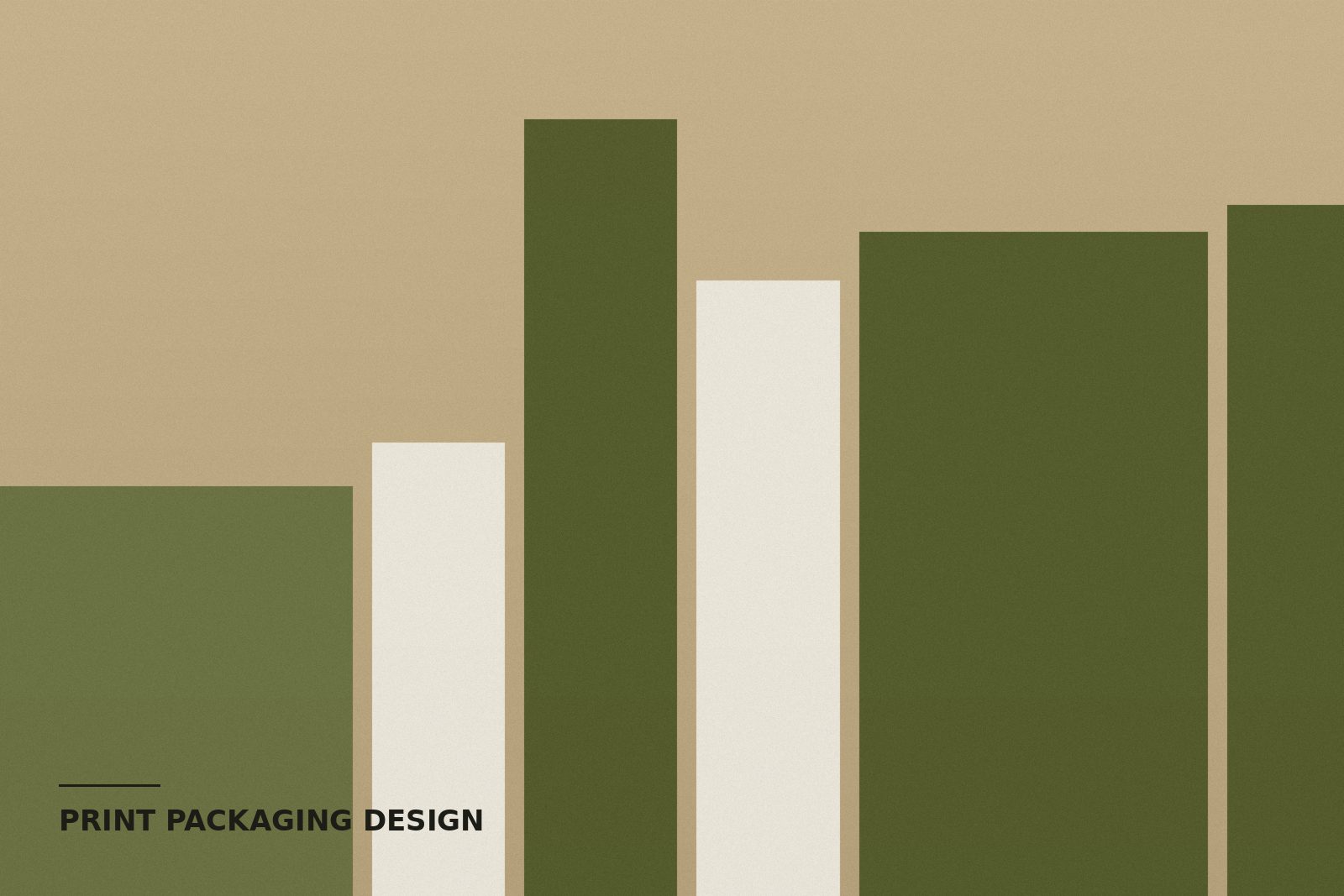 Retail packaging and print collateral design